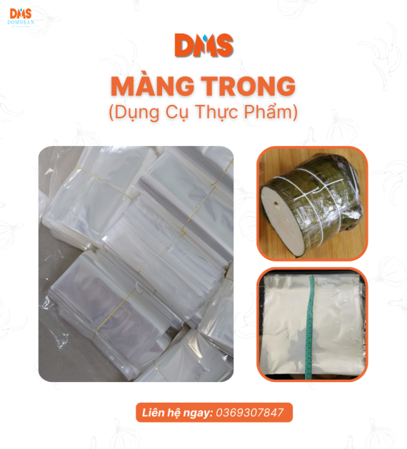 MÀNG TRONG